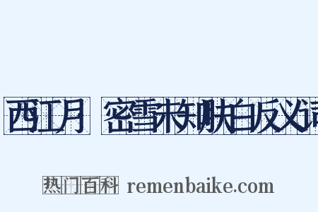 西江月·密雪未知肤白反义词是什么意思的图片